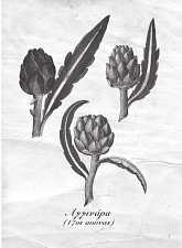 Τέσσερις Εποχές