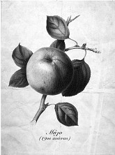 Τέσσερις Εποχές