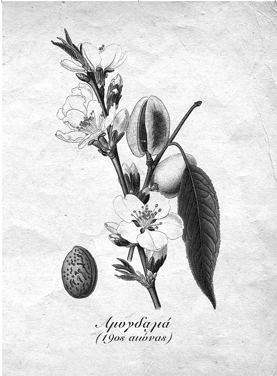 Τέσσερις Εποχές