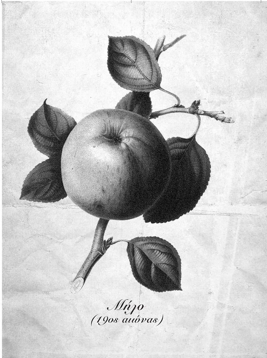 Τέσσερις Εποχές