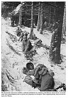  (1944)