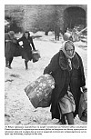  (1944)
